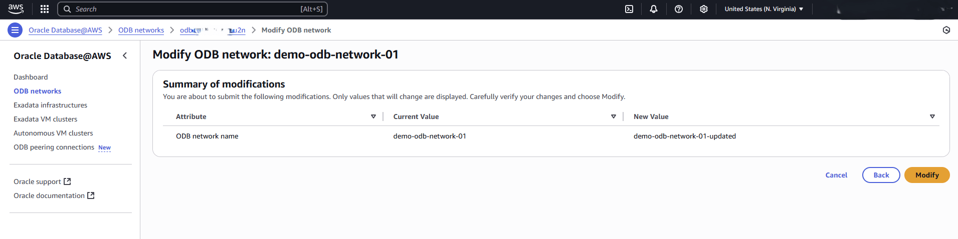 This screenshot shows the last step of modifying an ODB Network.