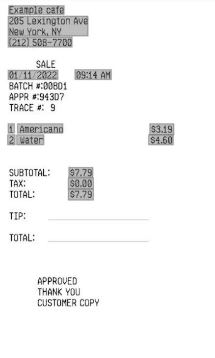 The fictitious receipt with only specific lines and fields highighted