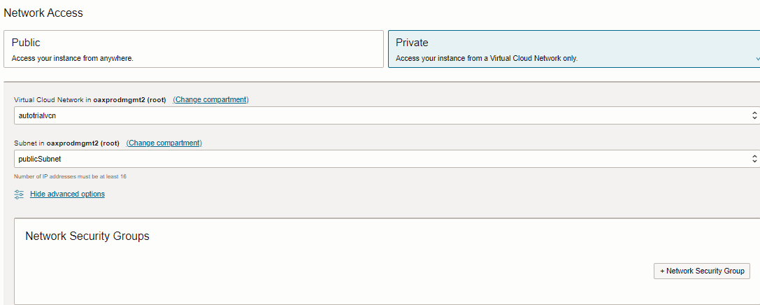 Private network access option