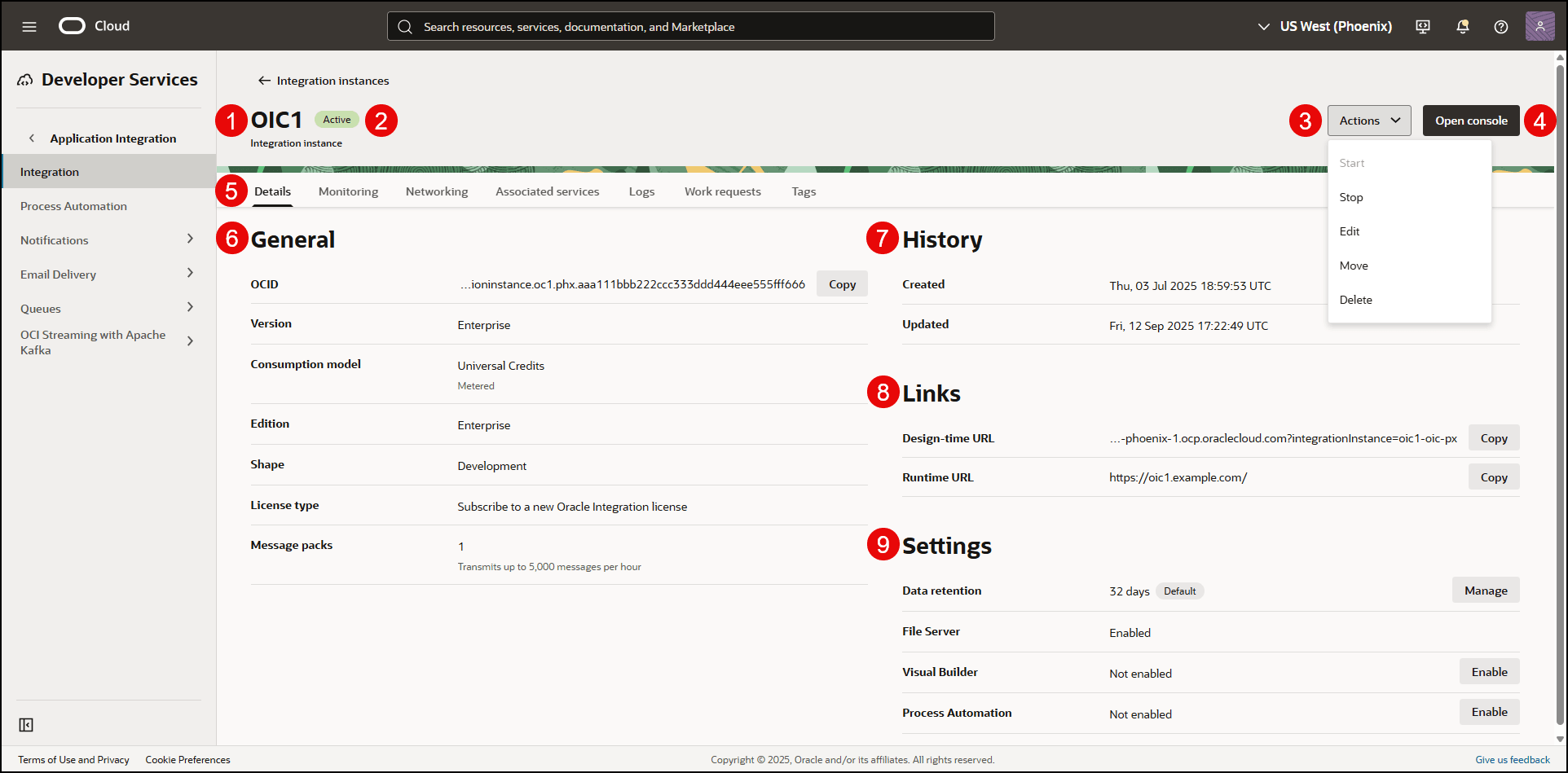 OCI Console Integration instance details page (described in table below)