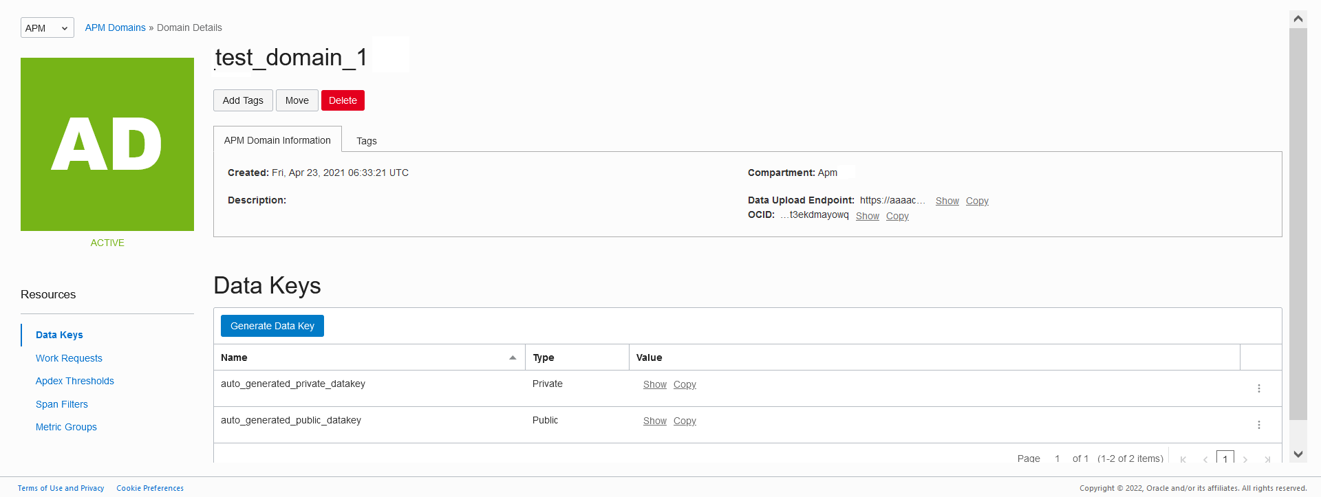 APM Domain Details page