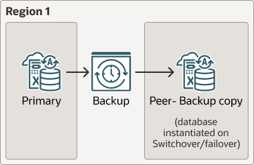 Description of backup-based-dr-local.eps follows