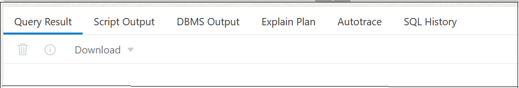 This image depicts the execution output pane in the SQL Worksheet.