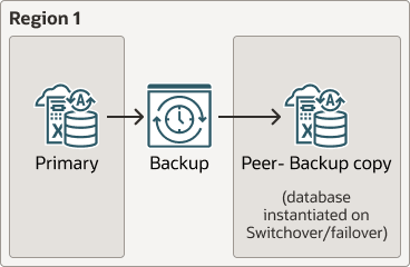 backup-based-dr-local.epsの説明が続きます backup-based-dr-local.epsの説明が続きます