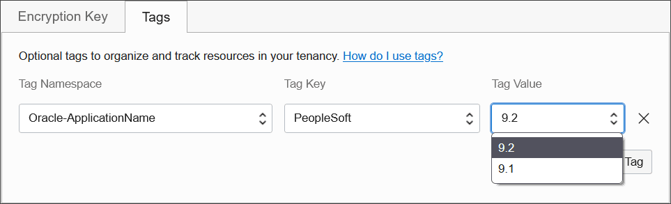 Oracle-ApplicationNameタグ・ネームスペースに適切なアプリケーション・タグ・キーを設定します。 Oracle-ApplicationNameタグ・ネームスペースに適切なアプリケーション・タグ・キーを設定します。
